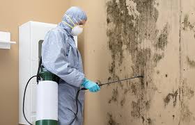 Best Mold Removal for HVAC Installations  in Rancho Cordova, CA